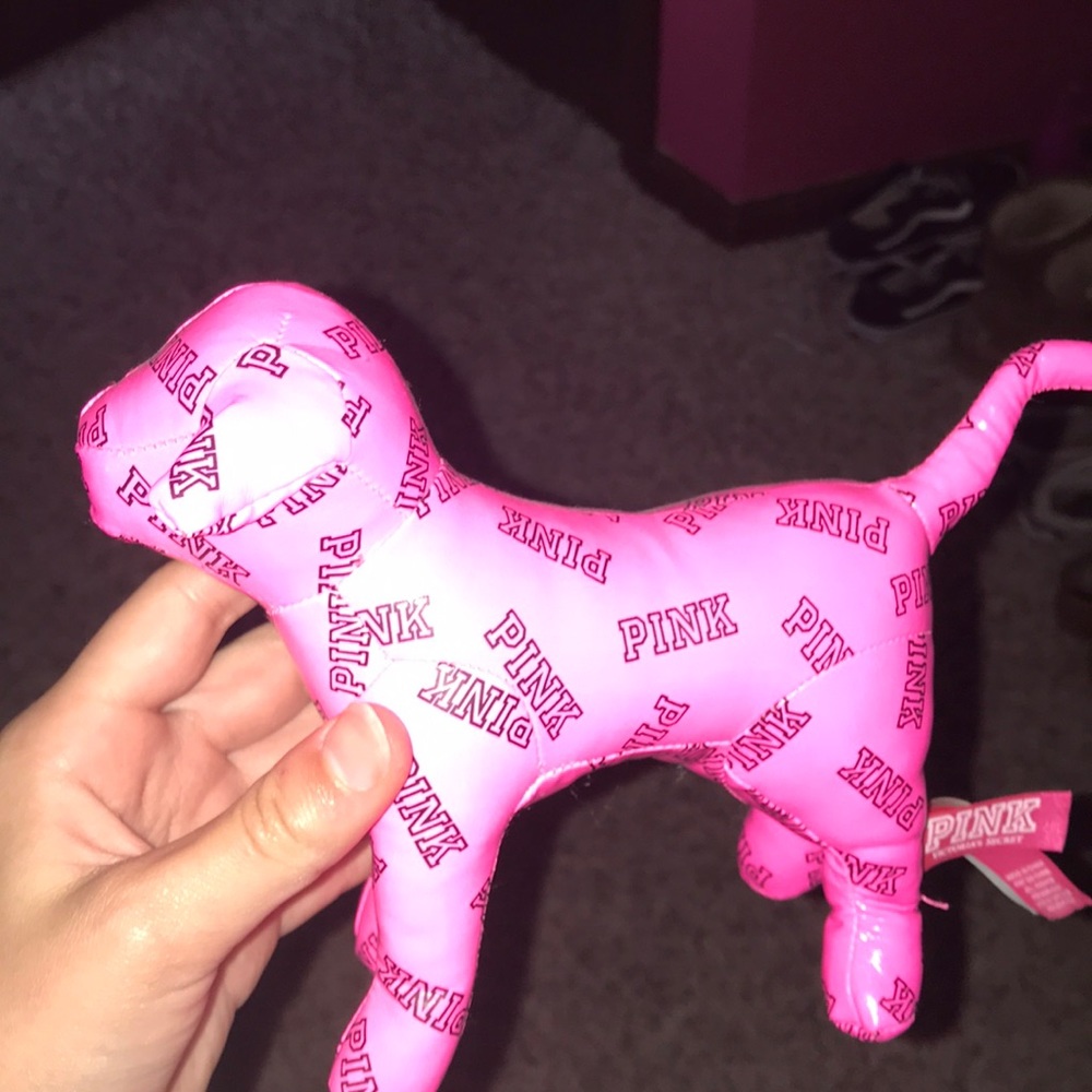 vs pink dog